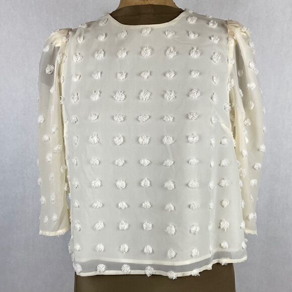 NEW Forever 21 Sheer Top Shirt Polka Dot Texture Small Puff 3/4 Sleeve Cropped - Picture 1 of 10